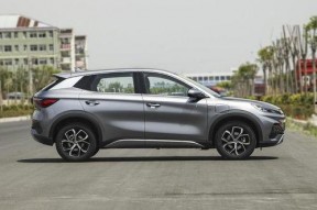 国产五月,绽放的青春与梦想