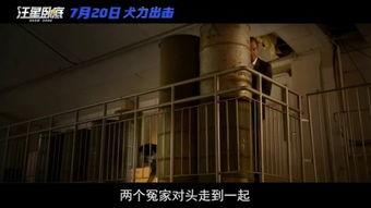 国产a级电影
